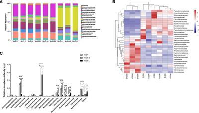 The mussel larvae microbiome changes in response to a temperature rise